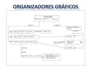 ORGANIZADORES GRÁFICOS
 
