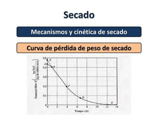 Secado
Mecanismos y cinética de secado
Curva de pérdida de peso de secado
 
