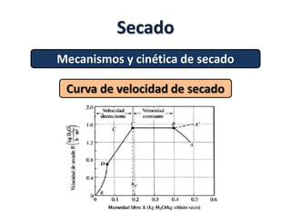 Secado
Mecanismos y cinética de secado
Curva de velocidad de secado
 