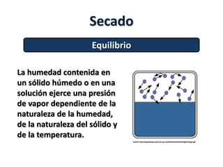 Secado
La humedad contenida en
un sólido húmedo o en una
solución ejerce una presión
de vapor dependiente de la
naturaleza de la humedad,
de la naturaleza del sólido y
de la temperatura.
Equilibrio
Fuente: http://hyperphysics.phy-astr.gsu.edu/hbasees/kinetic/imgkin/vapp1.gif
 