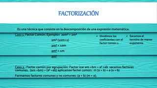 FACTORIZACIÓN
 Es una técnica que consiste en la descomposición de una expresión matemática.
Caso 1: Factor Común: Ejempl...