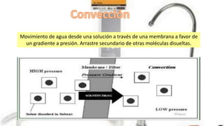 Movimiento de agua desde una solución a través de una membrana a favor de
un gradiente a presión. Arrastre secundario de otras moléculas disueltas.
 