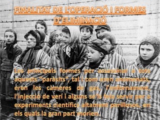 Operaci t4 i josef mengele
