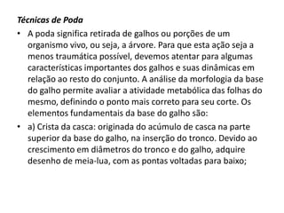 Técnicas de Poda
• A poda significa retirada de galhos ou porções de um
organismo vivo, ou seja, a árvore. Para que esta ação seja a
menos traumática possível, devemos atentar para algumas
características importantes dos galhos e suas dinâmicas em
relação ao resto do conjunto. A análise da morfologia da base
do galho permite avaliar a atividade metabólica das folhas do
mesmo, definindo o ponto mais correto para seu corte. Os
elementos fundamentais da base do galho são:
• a) Crista da casca: originada do acúmulo de casca na parte
superior da base do galho, na inserção do tronco. Devido ao
crescimento em diâmetros do tronco e do galho, adquire
desenho de meia-lua, com as pontas voltadas para baixo;

 
