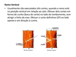 Ramo Vertical
• Usualmente são executados três cortes, quando o ramo está
na posição vertical em relação ao solo. Efetuar dois cortes em
forma de cunha (boca de corte) no lado do tombamento, sem
atingir a linha do eixo. Efetuar o corte definitivo (3º) no lado
oposto e em direção à cunha.

 