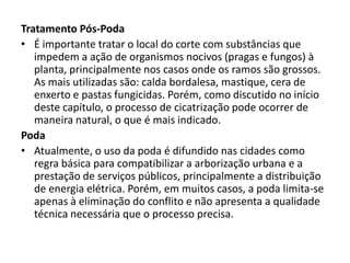Tratamento Pós-Poda
• É importante tratar o local do corte com substâncias que
impedem a ação de organismos nocivos (pragas e fungos) à
planta, principalmente nos casos onde os ramos são grossos.
As mais utilizadas são: calda bordalesa, mastique, cera de
enxerto e pastas fungicidas. Porém, como discutido no início
deste capítulo, o processo de cicatrização pode ocorrer de
maneira natural, o que é mais indicado.
Poda
• Atualmente, o uso da poda é difundido nas cidades como
regra básica para compatibilizar a arborização urbana e a
prestação de serviços públicos, principalmente a distribuição
de energia elétrica. Porém, em muitos casos, a poda limita-se
apenas à eliminação do conflito e não apresenta a qualidade
técnica necessária que o processo precisa.

 