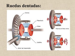 Ruedas dentadas: 