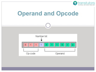 Operand and Opcode
 
