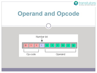 Operand and Opcode | Computer Science | PPTX | Programming Languages ...