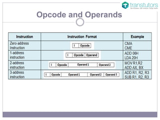 Operand and Opcode | Computer Science | PPT