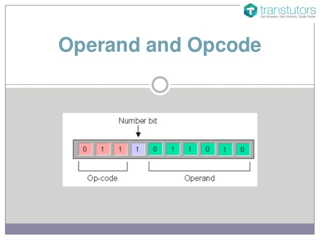 Operand And Opcode Computer Science Operand And Opcode Computer Science