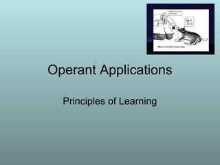 Operant Applications
Principles of Learning
 