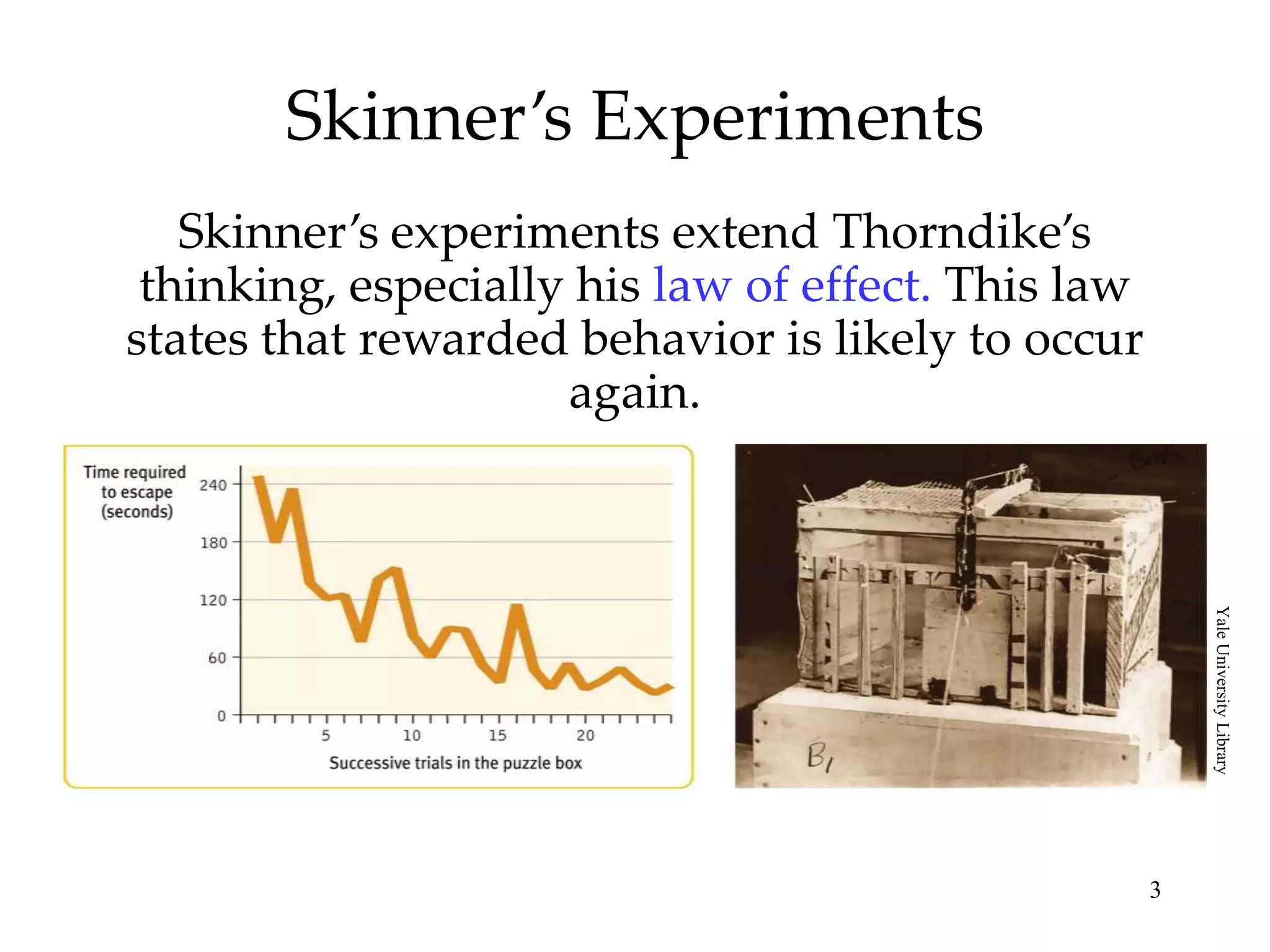 Skinner’s Experiments
Skinner’s experiments extend Thorndike’s
thinking, especially his law of effect. This law
states that rewarded behavior is likely to occur
again.

Yale University Library

3

 