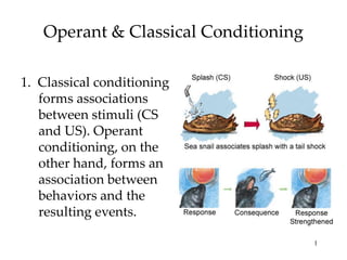 Operant & Classical Conditioning
1. Classical conditioning
forms associations
between stimuli (CS
and US). Operant
conditioning, on the
other hand, forms an
association between
behaviors and the
resulting events.
1

 