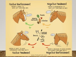 Operant  conditioning