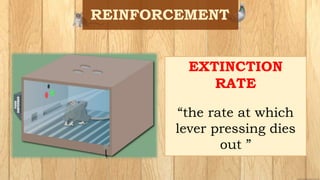 EXTINCTION
RATE
“the rate at which
lever pressing dies
out ”
 