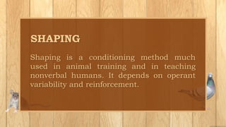 Shaping is a conditioning method much
used in animal training and in teaching
nonverbal humans. It depends on operant
variability and reinforcement.
SHAPING
 