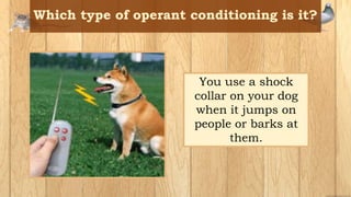 You use a shock
collar on your dog
when it jumps on
people or barks at
them.
 