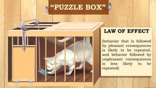 LAW OF EFFECT
(behavior that is followed
by pleasant consequences
is likely to be repeated,
and behavior followed by
unpleasant consequences
is less likely to be
repeated)
 