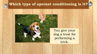 You give your
dog a treat for
performing a
trick.
 