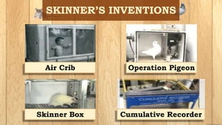 Cumulative Recorder
Air Crib Operation Pigeon
Skinner Box
 