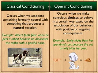Classical Conditioning Operant Conditioning
Occurs when we associate
something formerly neutral with
something that produces a
natural reaction.
Example: Albert feels fear when he
pets a rabbit because he associates
the rabbit with a painful noise.
Occurs when we make
conscious choices to behave
in a certain way based on the
association of our behaviors
with positive or negative
consequences.
Example: Emily hides from her
grandma’s cat because the cat
usually bites her feet.
+ =
vs.
 