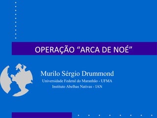 OPERAÇÃO “ARCA DE NOÉ”

 Murilo Sérgio Drummond
 Universidade Federal do Maranhão - UFMA
      Instituto Abelhas Nativas - IAN
 