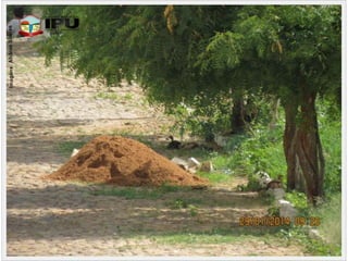 Operação tapa buracos   29-01-2014