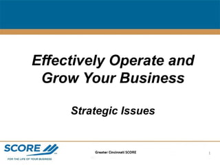 Effectively Operate and Grow Your Business Strategic Issues 