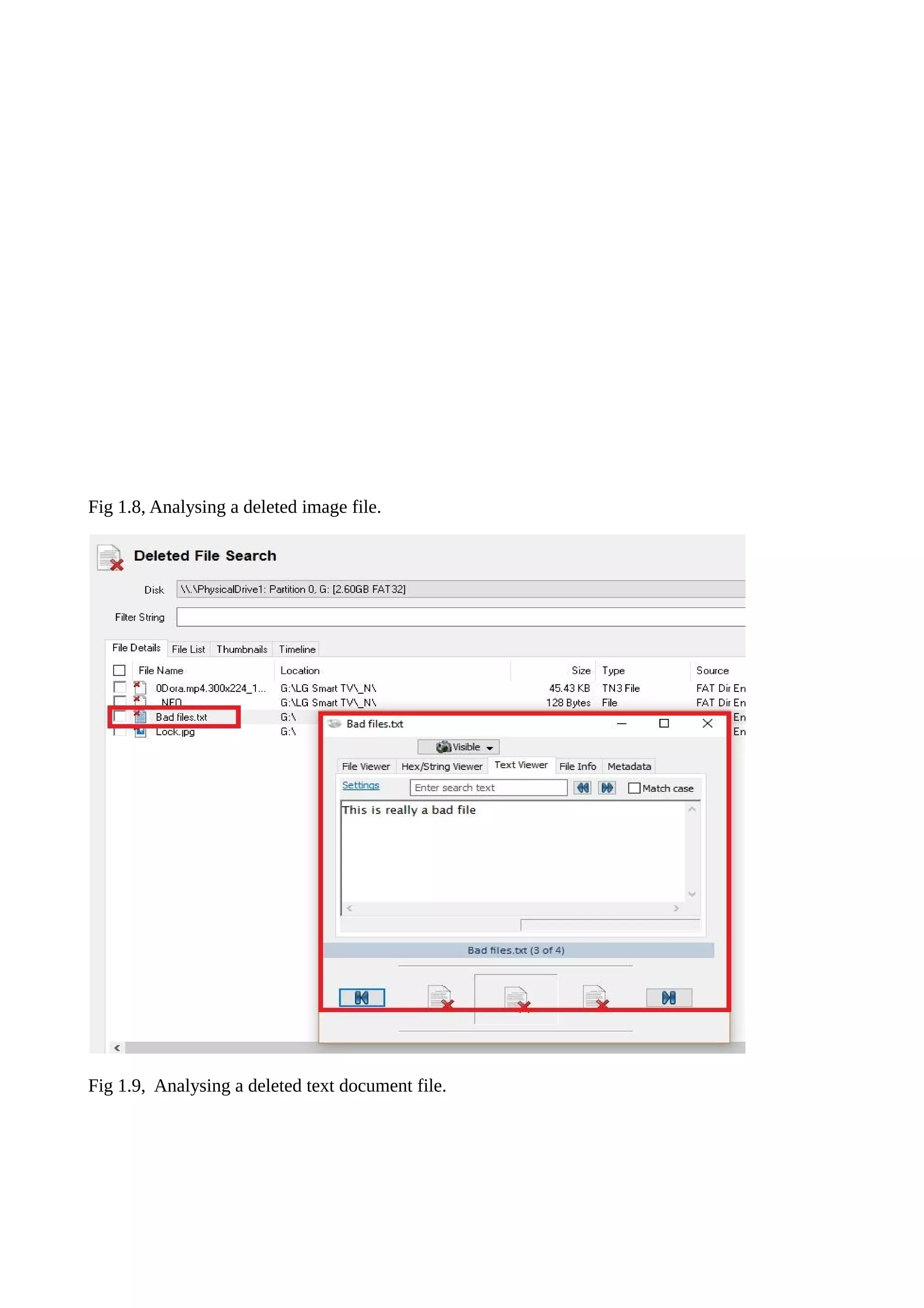 Fig 1.8, Analysing a deleted image file.
Fig 1.9, Analysing a deleted text document file.
 