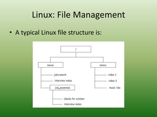 Linux: File Management
• A typical Linux file structure is:
 