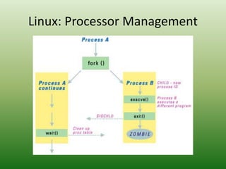 Linux: Processor Management
 