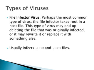  File Infector Virus: Perhaps the most common
type of virus, the file infector takes root in a
host file. This type of virus may end up
deleting the file that was originally infected,
or it may rewrite it or replace it with
something else.
 Usually infects .COM and .EXE files.
 