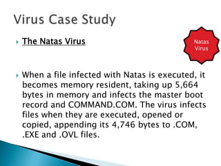  The Natas Virus
 When a file infected with Natas is executed, it
becomes memory resident, taking up 5,664
bytes in memory and infects the master boot
record and COMMAND.COM. The virus infects
files when they are executed, opened or
copied, appending its 4,746 bytes to .COM,
.EXE and .OVL files.
Natas
Virus
 