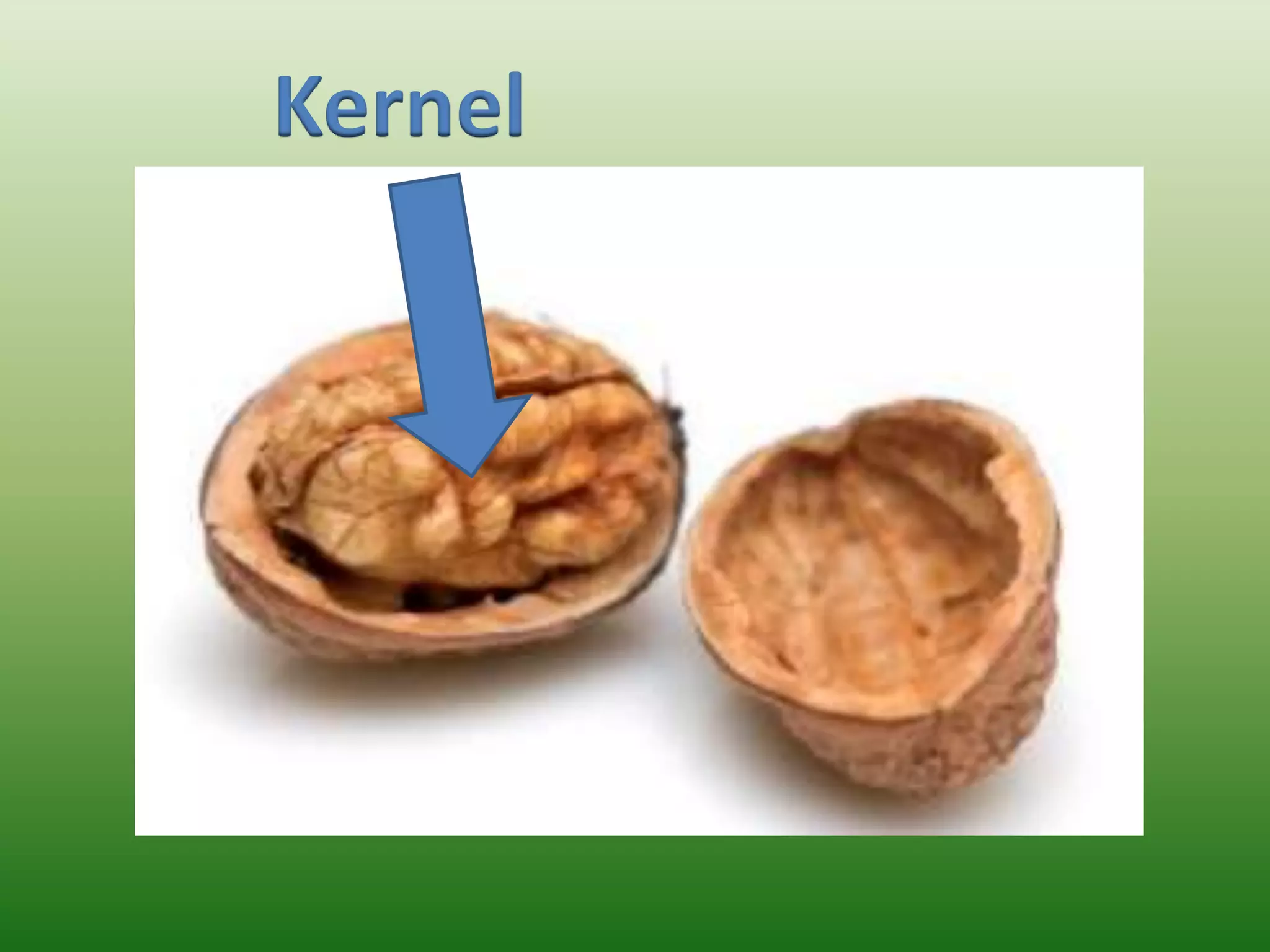 Kernel
 