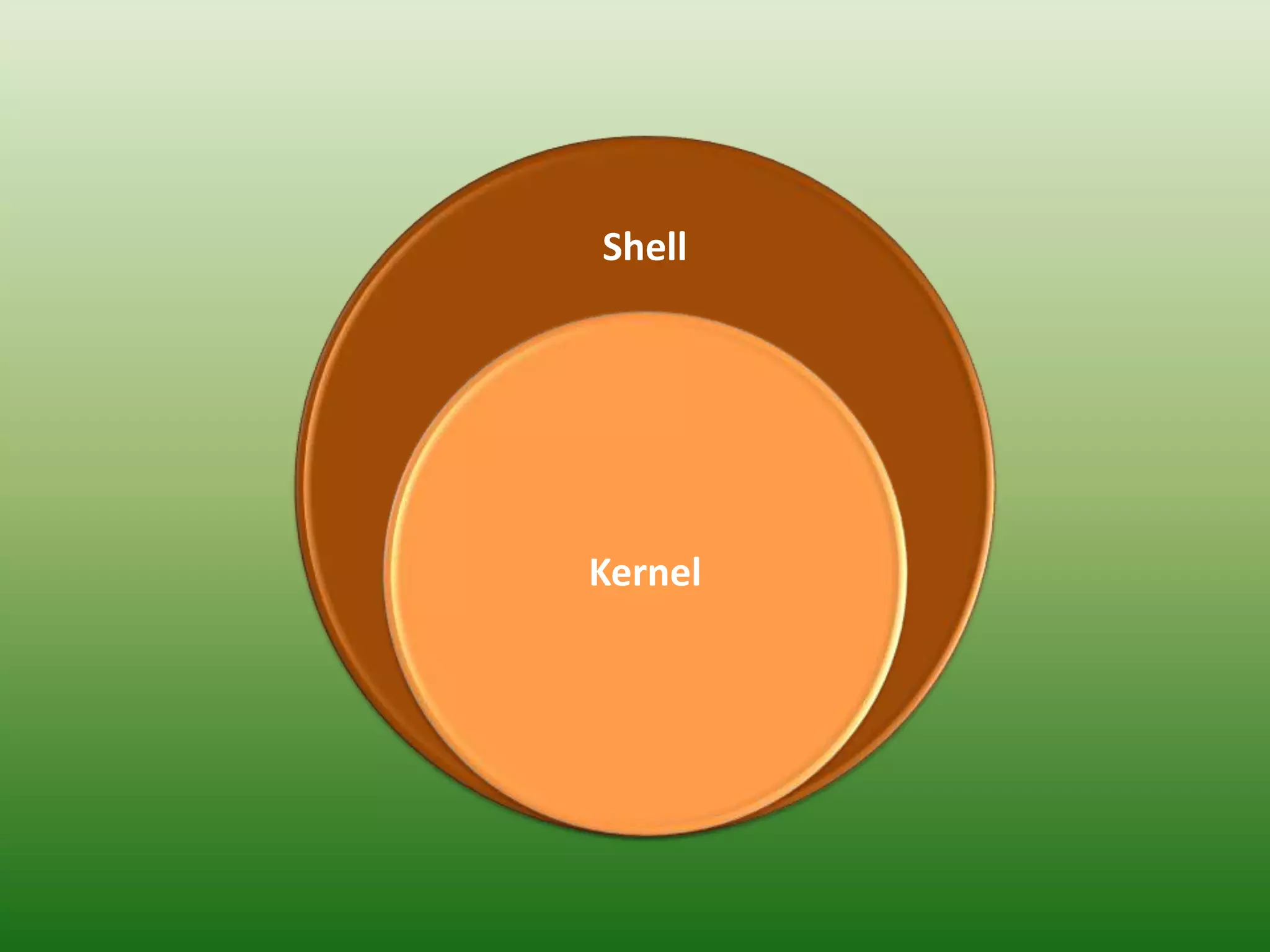 Shell
Kernel
 