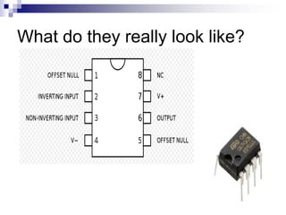 What do they really look like?
 