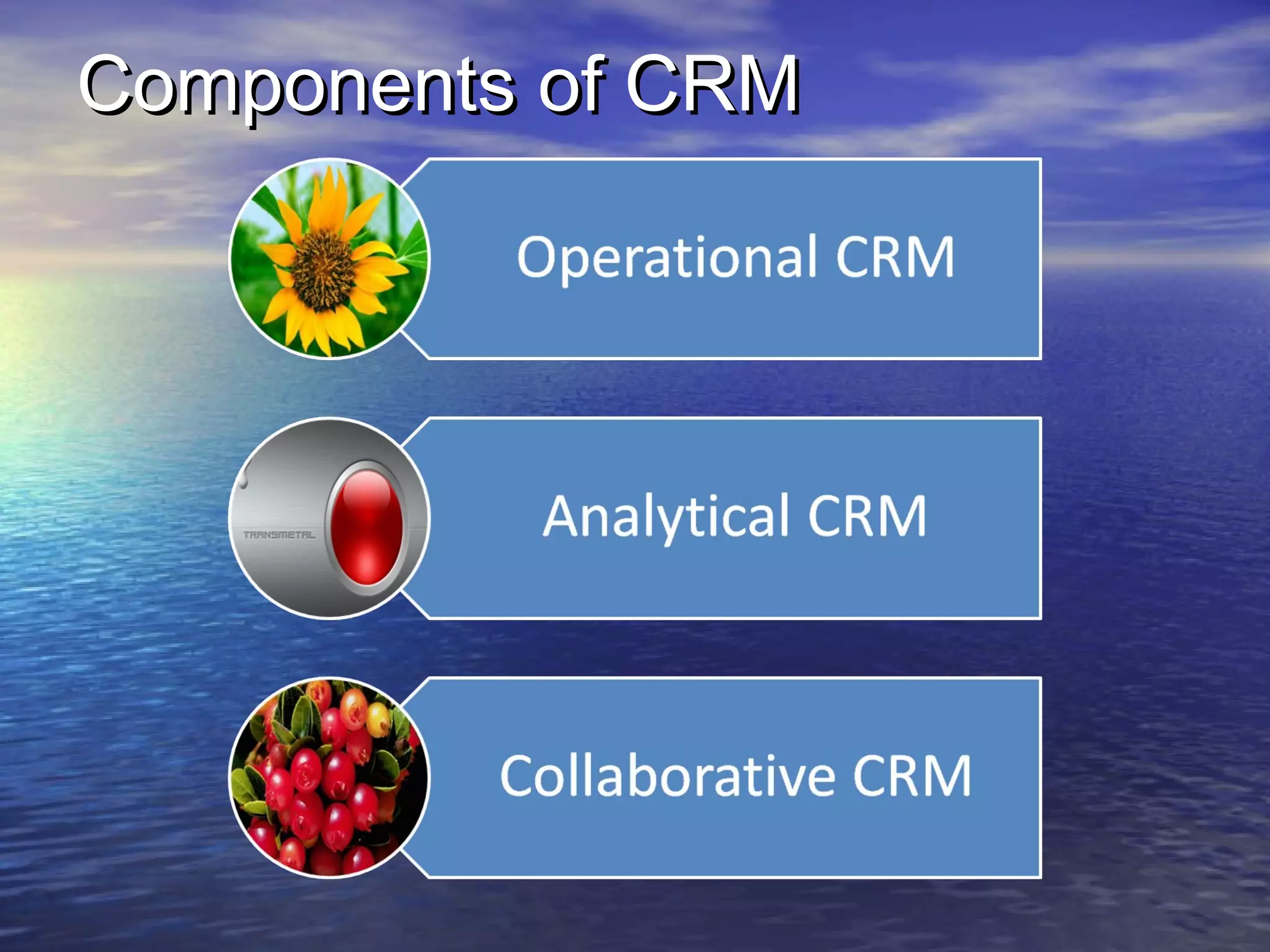 Components of CRM
 