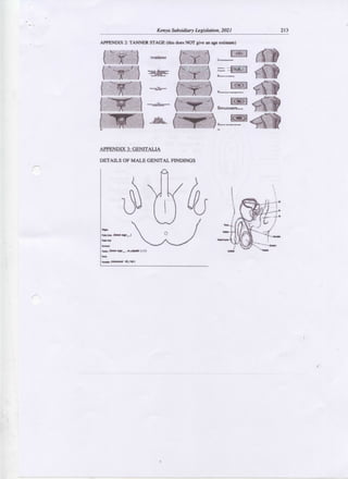 OPERATIONALIZATION OF THE REVISED MEDICAL EXAMINATION REPORT (FORM P3 ...