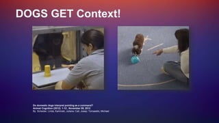 Do domestic dogs interpret pointing as a command?
Animal Cognition (2012): 1-12 , November 09, 2012
By Scheider, Linda; Kaminski, Juliane; Call, Josep; Tomasello, Michael
DOGS GET Context!
 