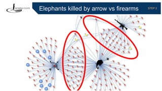 Elephants killed by arrow vs firearms STEP 2
 