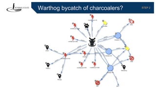Warthog bycatch of charcoalers? STEP 2
 
