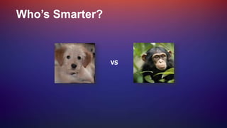 Who’s Smarter?
VS
 