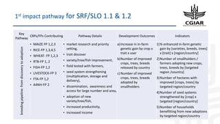 Origins of the Monitoring, Evaluation and Learning, Communities of Practice (CoP) & Task Force on Indicators