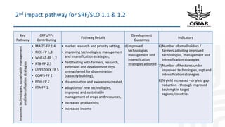 Origins of the Monitoring, Evaluation and Learning, Communities of Practice (CoP) & Task Force on Indicators