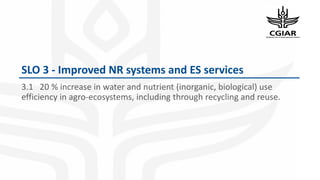 Origins of the Monitoring, Evaluation and Learning, Communities of Practice (CoP) & Task Force on Indicators