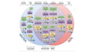 Origins of the Monitoring, Evaluation and Learning, Communities of Practice (CoP) & Task Force on Indicators