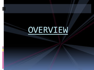 OVERVIEW
 