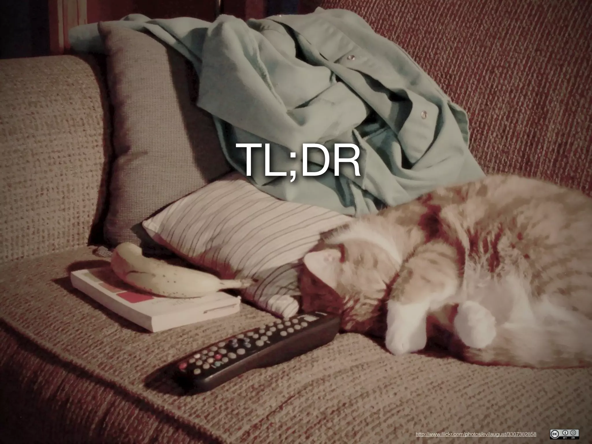 TL;DR




        http://www.ﬂickr.com/photos/evilaugust/3307382858
 