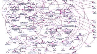 PERSPECTIVE:
Consumer/
Prospect
 